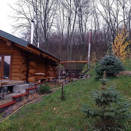 Zelenaya Usad'Ba Stavbor Zavadivka Exterior foto