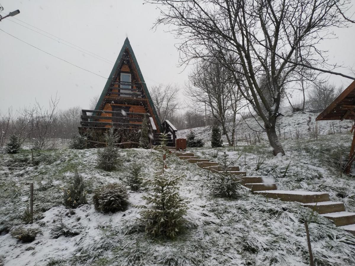 Zelenaya Usad'Ba Stavbor Zavadivka Exterior foto