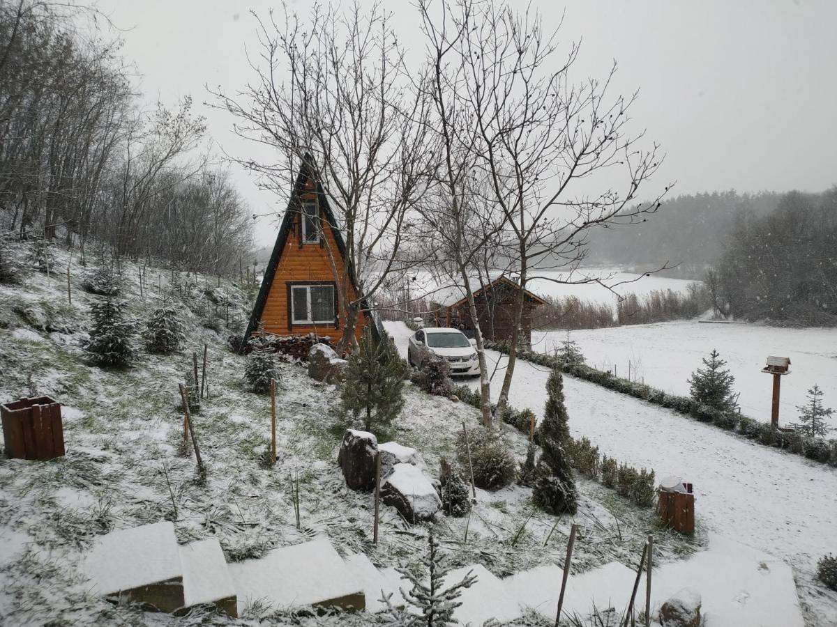 Zelenaya Usad'Ba Stavbor Zavadivka Exterior foto
